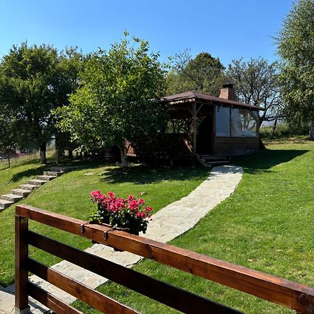 Transylvanian House Drumu Carului Экстерьер фото